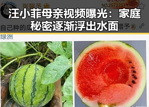 汪小菲母亲视频曝光：家庭秘密逐渐浮出水面