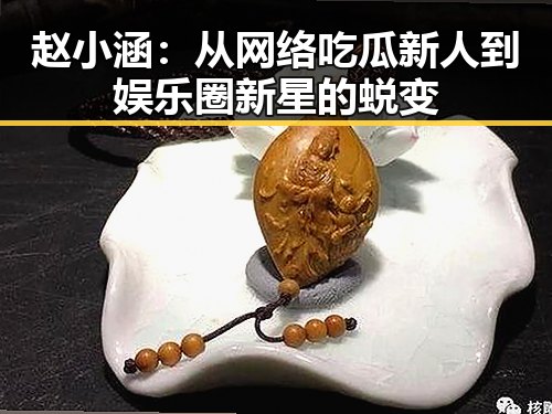 赵小涵：从网络吃瓜新人到娱乐圈新星的蜕变